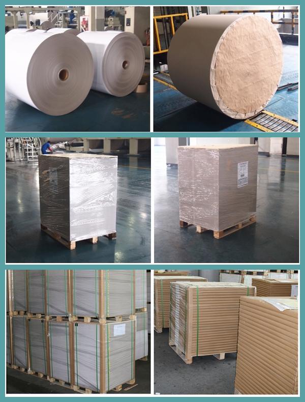 FSC Bleached Kraft Paper Rolls 36inch 80gsm 120gsm White Wrapping Paper FSC Bleached Kraft Paper Rolls 36inch 80gsm 120gsm White Wrapping Paper