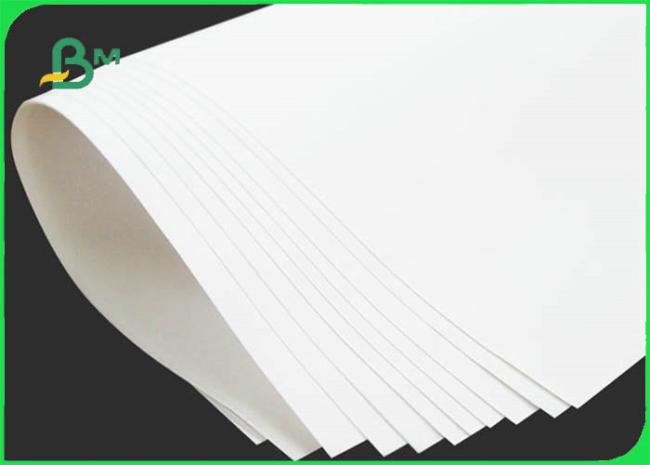 Food Grade Bleached Kraft Paper Roll For Meat Package 60gsm 70gsm 80gsm 120gsm Food Grade Bleached Kraft Paper Roll For Meat Package 60gsm 70gsm 80gsm 120gsm