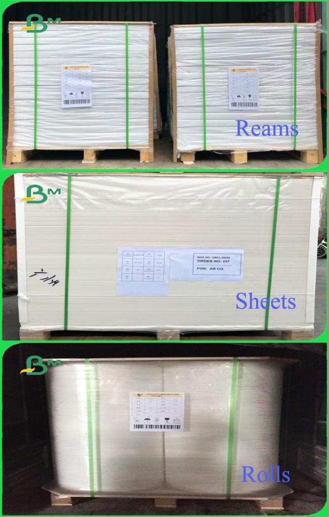 75gsm to 100gsm Offset Paper / School Book Paper Uncoated Grade AAA Uncoated 75gsm to 100gsm Offset Paper / School Book Paper Uncoated Grade AAA Uncoated