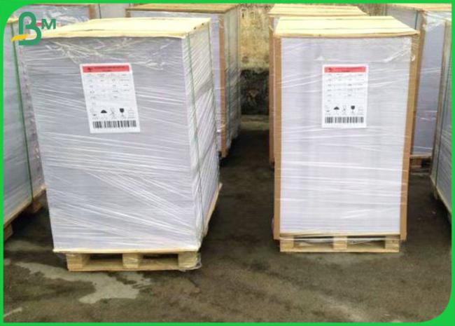 75gsm 80gsm 100gsm 100% Wood Pulp Offset Paper In Reel For School Book Use 75gsm 80gsm 100gsm 100% Wood Pulp Offset Paper In Reel For School Book Use