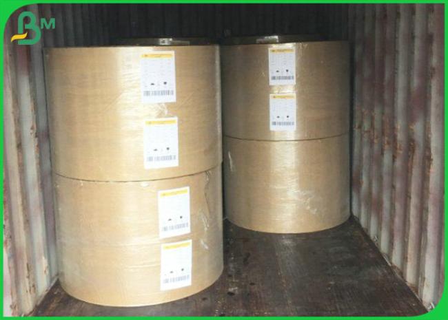 75gsm 80gsm 100gsm 100% Wood Pulp Offset Paper In Reel For School Book Use 75gsm 80gsm 100gsm 100% Wood Pulp Offset Paper In Reel For School Book Use