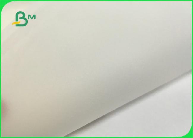 FDA FSC Certified 26gsm to 50gsm White Paper Kraft Paper Roll With Grease Proof FDA FSC Certified 26gsm to 50gsm White Paper Kraft Paper Roll With Grease Proof
