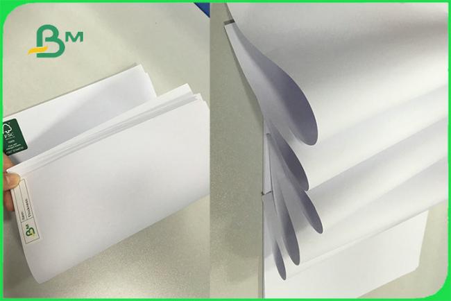 Long Grain High Whiteness Wood Free Offset Paper Uncoated Pure Wood Pulp FSC Long Grain High Whiteness Wood Free Offset Paper Uncoated Pure Wood Pulp FSC