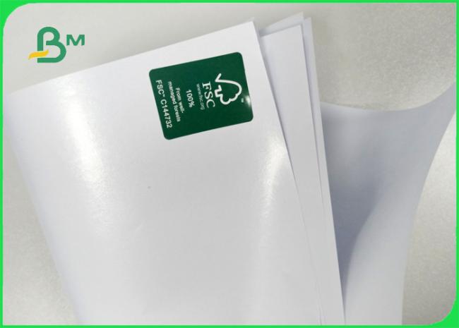 Food grade 70 / 78 gsm with 10 / 15gsm PE non-stick food woodfree paper in roll 02 Food grade 70 / 78 gsm with 10 / 15gsm PE non-stick food woodfree paper in roll