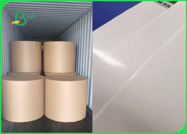 300gr 350gr Food Grade Single Sided PE Coated Paper Sheet For Food Box 100x70cm 300gr 350gr Food Grade Single Sided PE Coated Paper Sheet For Food Box 100x70cm