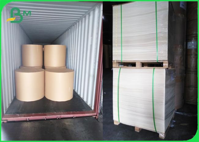 Recyclable Paper Material Woodfree Paper 80gsm 100gsm 51 - 95cm rolls size Recyclable Paper Material Woodfree Paper 80gsm 100gsm 51 - 95cm rolls size