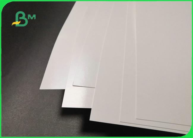 300gsm + 15gPE Food Grade Paperboard For Lunch Box High Surface Smoothness 300gsm + 15gPE Food Grade Paperboard For Lunch Box High Surface Smoothness