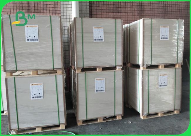 300gsm + 15gPE Food Grade Paperboard For Lunch Box High Surface Smoothness 300gsm + 15gPE Food Grade Paperboard For Lunch Box High Surface Smoothness