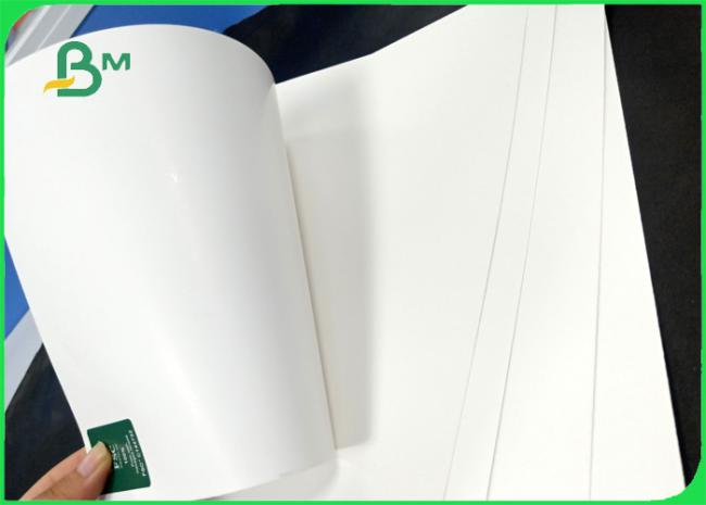 250gsm 300gsm 350gsm high brightness Coared FBB board with pure wood pulp 03 250gsm 300gsm 350gsm high brightness Coared FBB board with pure wood pulp