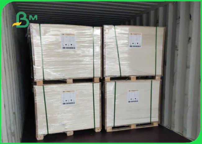 300g 350g PE Coated Ivory Board Waterproof And Untearable To Pack Lunch 300g 350g PE Coated Ivory Board Waterproof And Untearable To Pack Lunch