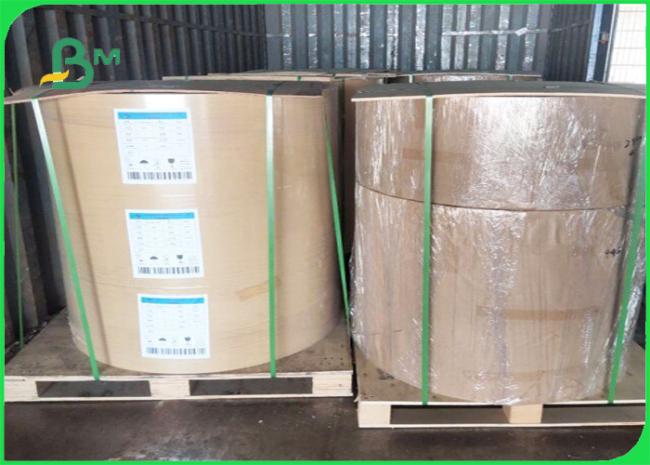 300g 350g PE Coated Ivory Board Waterproof And Untearable To Pack Lunch 300g 350g PE Coated Ivory Board Waterproof And Untearable To Pack Lunch