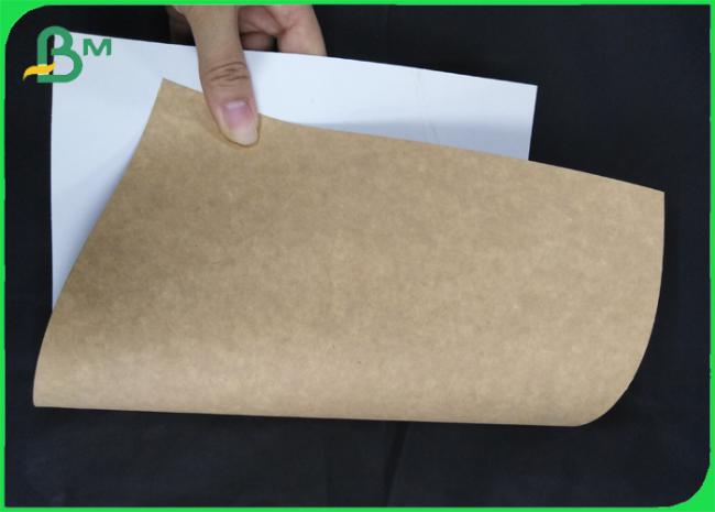 Stain Resistance FDA 300 GSM Coated kraft board for medicine packaging box Stain Resistance FDA 300 GSM Coated kraft board for medicine packaging box