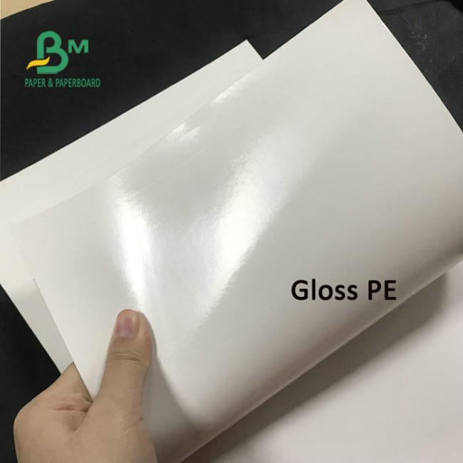 15g + 200g PE - Clay Coated Carton kraft Packing Paper Sheets 70 * 100cm 15g + 200g PE - Clay Coated Carton kraft Packing Paper Sheets 70 * 100cm