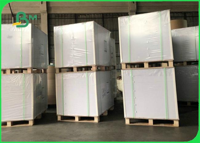 275g 300g + 15g PE Coated White Cardboard For Food Tray Greaseproof 70 * 100cm 275g 300g + 15g PE Coated White Cardboard For Food Tray Greaseproof 70 * 100cm