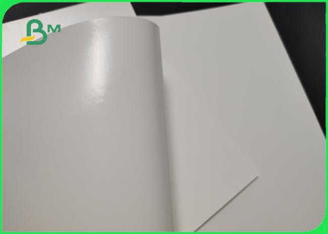 100% Virgin Wood Pulp 210g PE Coating FBB For Lunch Boxes Greaseproof