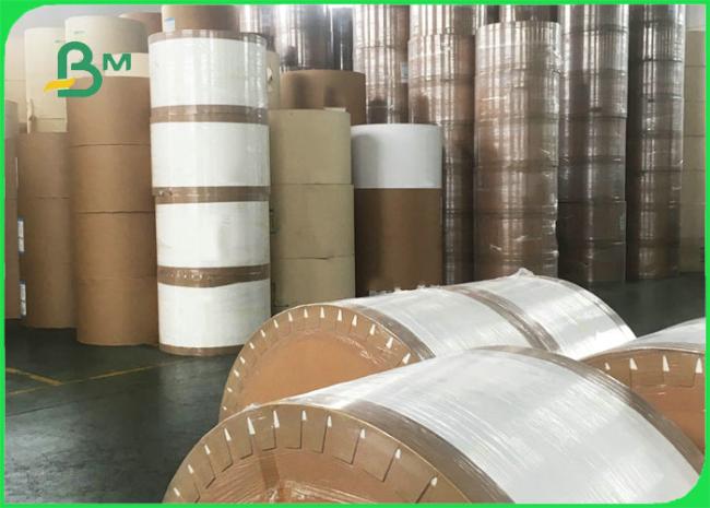 190gsm 210gsm Cup Stock Paper Rolls For Ice Cream Fully Recyclable 720mm 880mm 190gsm 210gsm Cup Stock Paper Rolls For Ice Cream Fully Recyclable 720mm 880mm