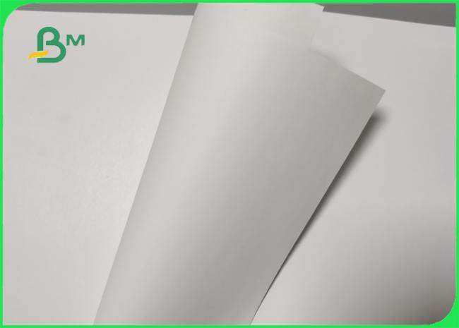 55gsm 75gsm White Woodfree Paper Roll For Making Notebook Smooth