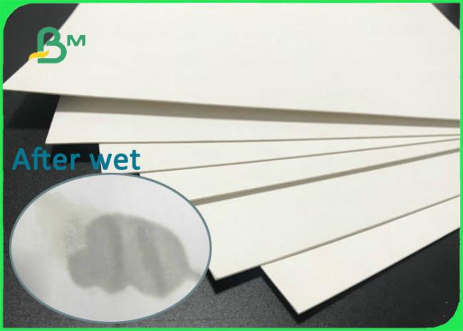 absorbent paper absorbent paper