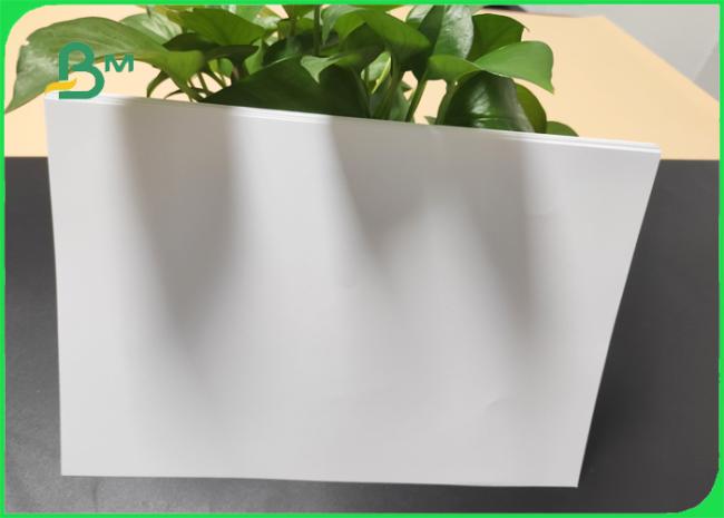Uncoated woofree paper Uncoated woofree paper