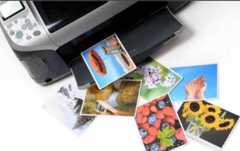 High Brightness 120g 150g Printed Photographic Paper Roll For Resume