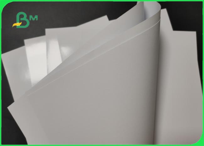 High Brightness 120g 150g Printed Photographic Paper Roll For Resume