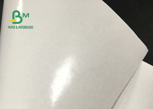 Grease / Water proof 45gsm + 10g PE Coated one side pallet pad paper Jumbo Roll Grease / Water proof 45gsm + 10g PE Coated one side pallet pad paper Jumbo Roll
