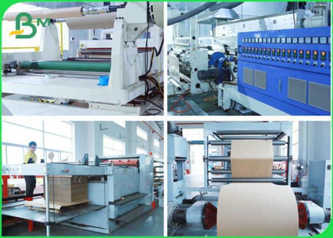 BMpaper Company