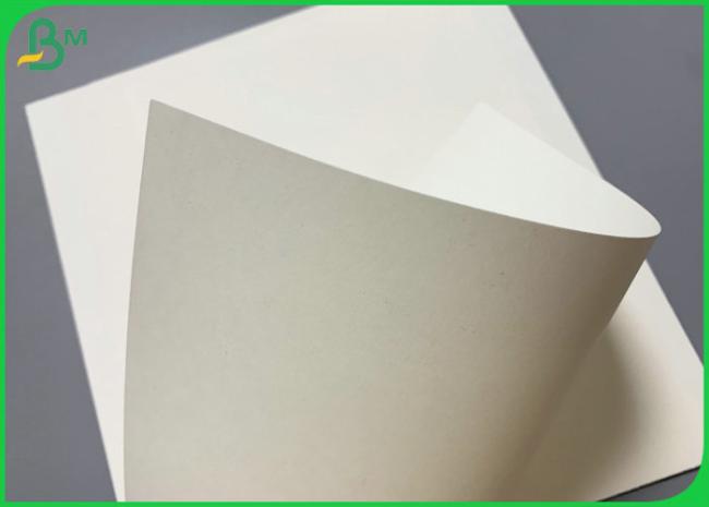 SGS Certificated 230g 260g PE Coated Cupstock Base Paper 850mm Roll SGS Certificated 230g 260g PE Coated Cupstock Base Paper 850mm Roll