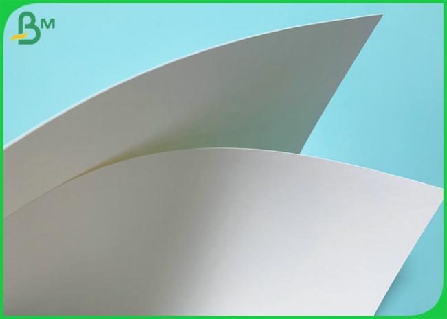 Food Grade High Stiffness 190gsm+18PE PE Coated Paper To Produce Cup Fan Food Grade High Stiffness 190gsm+18PE PE Coated Paper To Produce Cup Fan