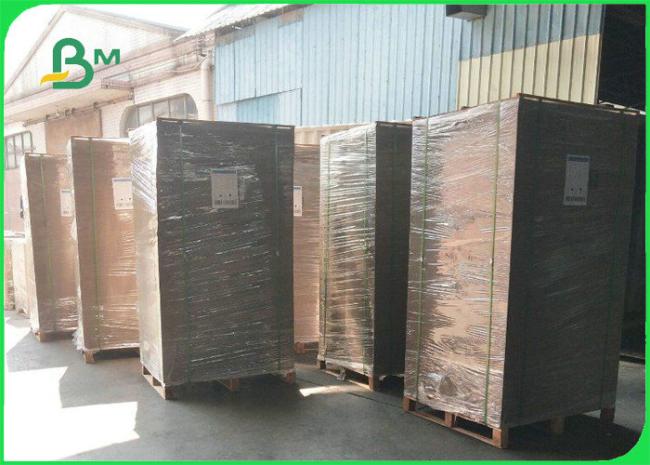 Food Grade 250gsm+ 15g PE Coated Lunch Box Paper Greaseproof 850mm 895mm Food Grade 250gsm+ 15g PE Coated Lunch Box Paper Greaseproof 850mm 895mm