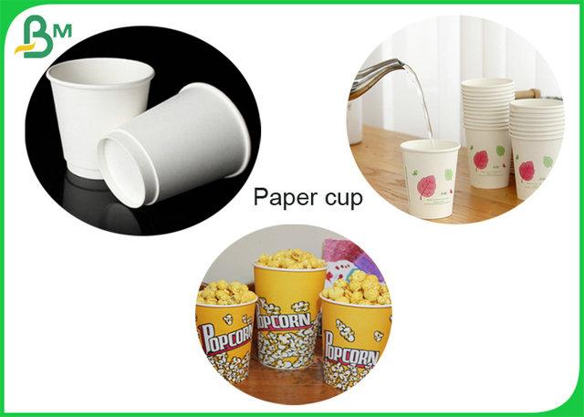 98% Whiteness 240gr +18g PE Cupstock Paper Roll Coating Matt PE For Paper Cup 98% Whiteness 240gr +18g PE Cupstock Paper Roll Coating Matt PE For Paper Cup