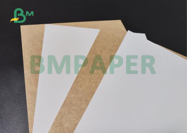 325gsm 350gsm White Top Kraft Back Paper For Food Grade Package 72cm 76cm 325gsm 350gsm White Top Kraft Back Paper For Food Grade Package 72cm 76cm