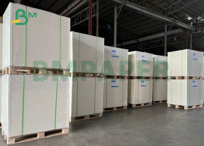 300gsm + 15g PE Coated Cupstock Board For Hot Coffee 840 x 710mm Eco Friendly 300gsm + 15g PE Coated Cupstock Board For Hot Coffee 840 x 710mm Eco Friendly
