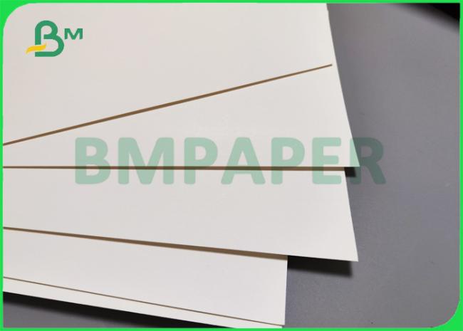260gsm + 15g PE Coffee Cup Paper For Hot Drinks 735mm 780mm Biodegradable 260gsm + 15g PE Coffee Cup Paper For Hot Drinks 735mm 780mm Biodegradable