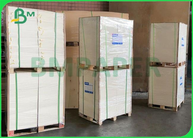 260gsm + 15g PE Coffee Cup Paper For Hot Drinks 735mm 780mm Biodegradable 260gsm + 15g PE Coffee Cup Paper For Hot Drinks 735mm 780mm Biodegradable