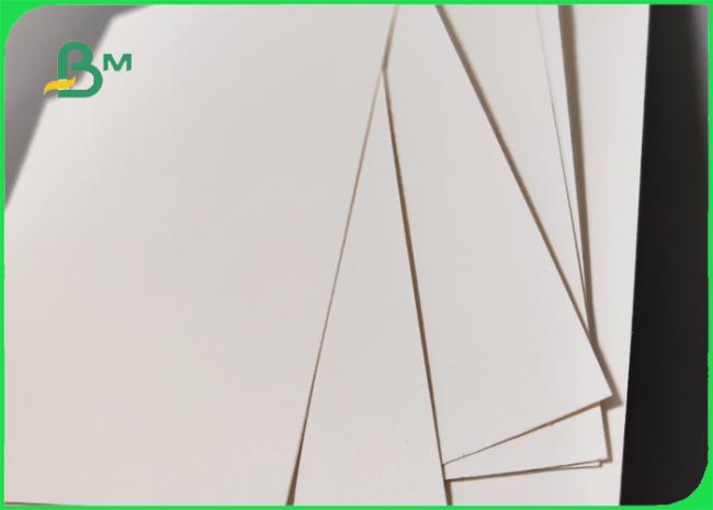 1S PE 240 gsm+20g Cup Stock Paper For Hot Drinks 747mm 886mm Recyclable 1S PE 240 gsm+20g Cup Stock Paper For Hot Drinks 747mm 886mm Recyclable