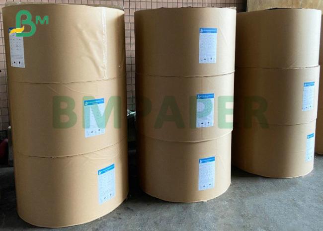 1S PE 260gsm Cup Stock Paper 240gsm + 20PE For Drinks Cup 886mm Jumbo Roll 1S PE 260gsm Cup Stock Paper 240gsm + 20PE For Drinks Cup 886mm Jumbo Roll