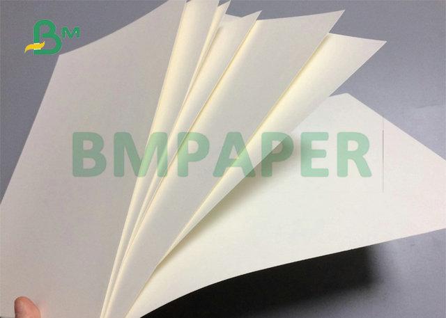 260Gr 280Gr 300Gr 100% Food Grade Cup Stock Paper Roll For Coffee Cups 35inch Wide 260Gr 280Gr 300Gr 100% Food Grade Cup Stock Paper Roll For Coffee Cups 35inch Wide