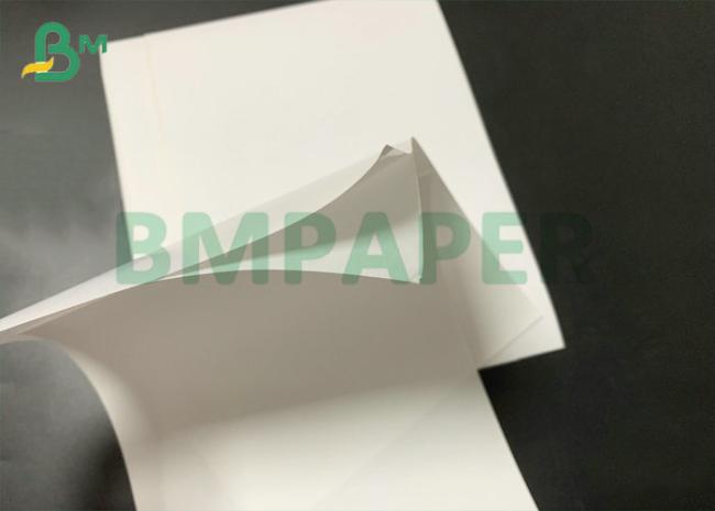 55gsm 60gsm Waterproof Self Adhesive Thermal Label Paper Jumbo Roll 1100mm 55gsm 60gsm Waterproof Self Adhesive Thermal Label Paper Jumbo Roll 1100mm