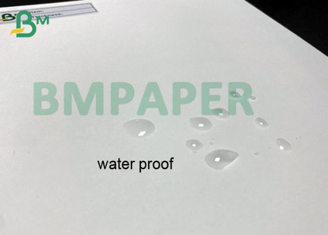 pe coated paper pe coated paper