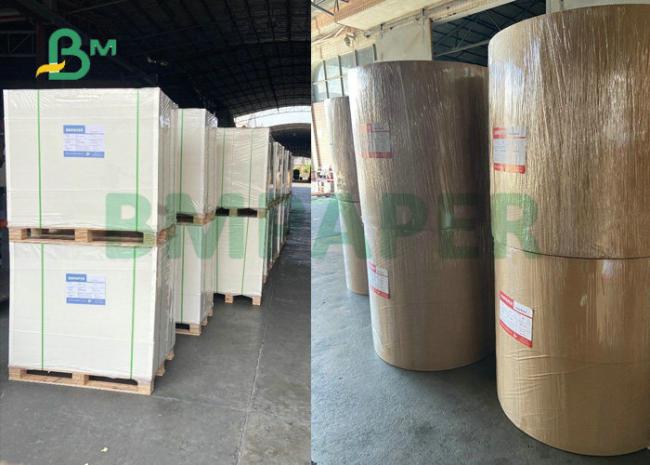 210gsm 230gsm One Side Coated FBB SBS Board For Packaging Industry 210gsm 230gsm One Side Coated FBB SBS Board For Packaging Industry