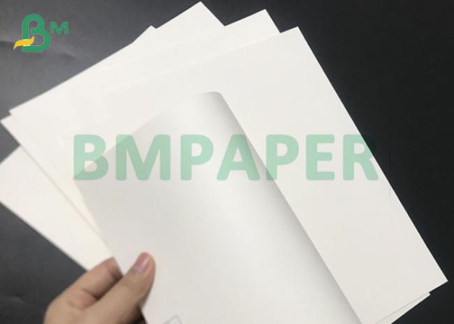 Virgin Pulp 250gsm 300gsm C1S PE Coated Bleached Food Box Cardboard Rolls Virgin Pulp 250gsm 300gsm C1S PE Coated Bleached Food Box Cardboard Rolls