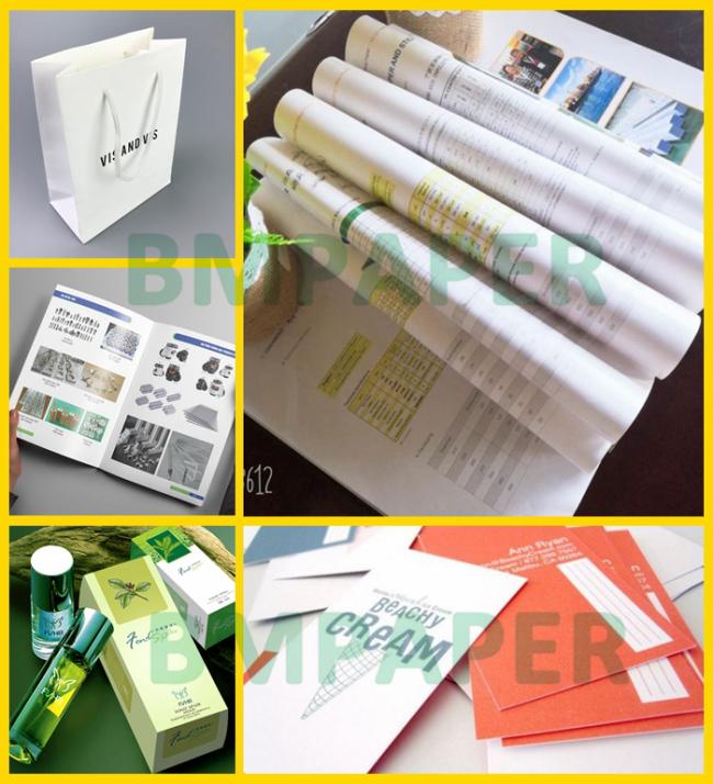 100gsm 120gsm C2S Matt Coated Art Paper For Booklet Printing 89 x 109cm 100gsm 120gsm C2S Matt Coated Art Paper For Booklet Printing 89 x 109cm