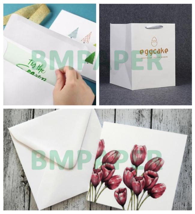 250g 300g Uncoated Woodfree Offset Paper For Clothing Trademark 685 x 990mm 250g 300g Uncoated Woodfree Offset Paper For Clothing Trademark 685 x 990mm