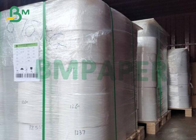 PE Kraft Paper PE Kraft Paper