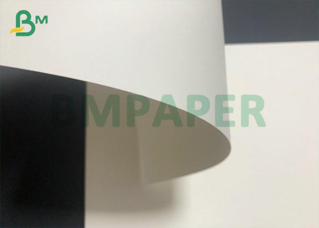 210gsm Coated Paper For Paper Cup 15gsm PE Waterproof Cardboard 210gsm Coated Paper For Paper Cup 15gsm PE Waterproof Cardboard
