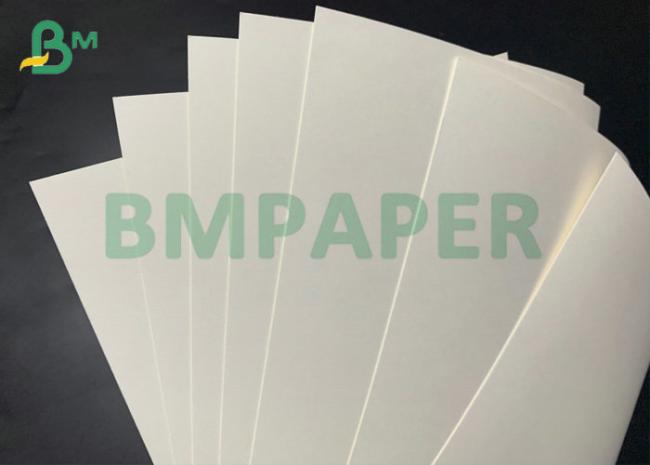 Cup Paper C1S C2S 15g PE Coated Paper 185gsm 210gsm For Paper Cups Cup Paper C1S C2S 15g PE Coated Paper 185gsm 210gsm For Paper Cups