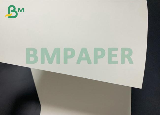 Cup Paper C1S C2S 15g PE Coated Paper 185gsm 210gsm For Paper Cups Cup Paper C1S C2S 15g PE Coated Paper 185gsm 210gsm For Paper Cups