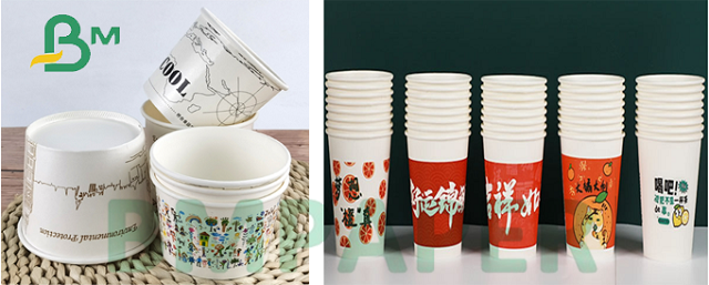 Good Absorption 230gsm + 18PE CupStock Paper Coated One Sided For Papercups Good Absorption 230gsm + 18PE CupStock Paper Coated One Sided For Papercups