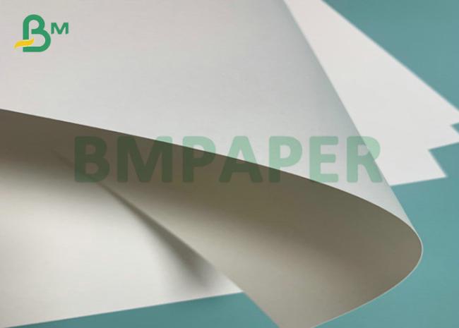 190gsm 210gsm CUPP1S CUPP2S PE Coated Cup Paper For Hot Drink Paper Cup 190gsm 210gsm CUPP1S CUPP2S PE Coated Cup Paper For Hot Drink Paper Cup